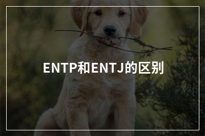 ENTP和ENTJ的区别