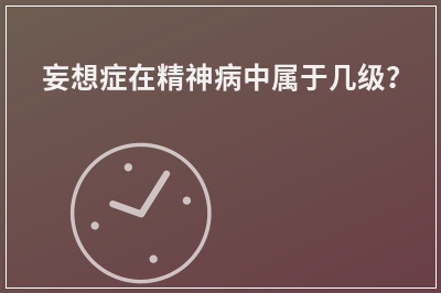 妄想症在精神病中属于几级？